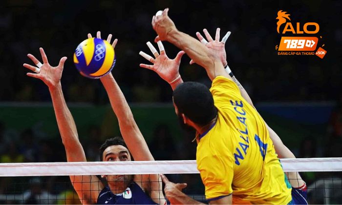 Giới thiệu cá cược bóng chuyền tại Thể Thao ALO789 Giới thiệu cá cược bóng chuyền tại Thể Thao ALO789