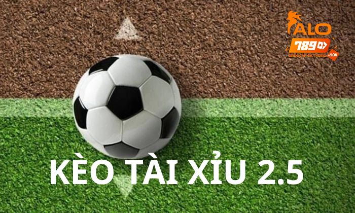 Giới thiệu kèo Tài Xỉu 2.5 trong cá cược bóng đá Giới thiệu kèo Tài Xỉu 2.5 trong cá cược bóng đá